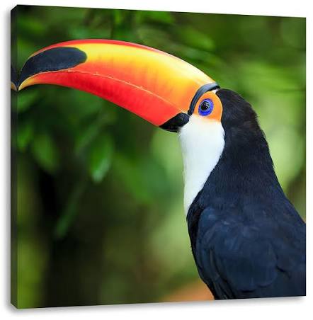 Jeff profile photo