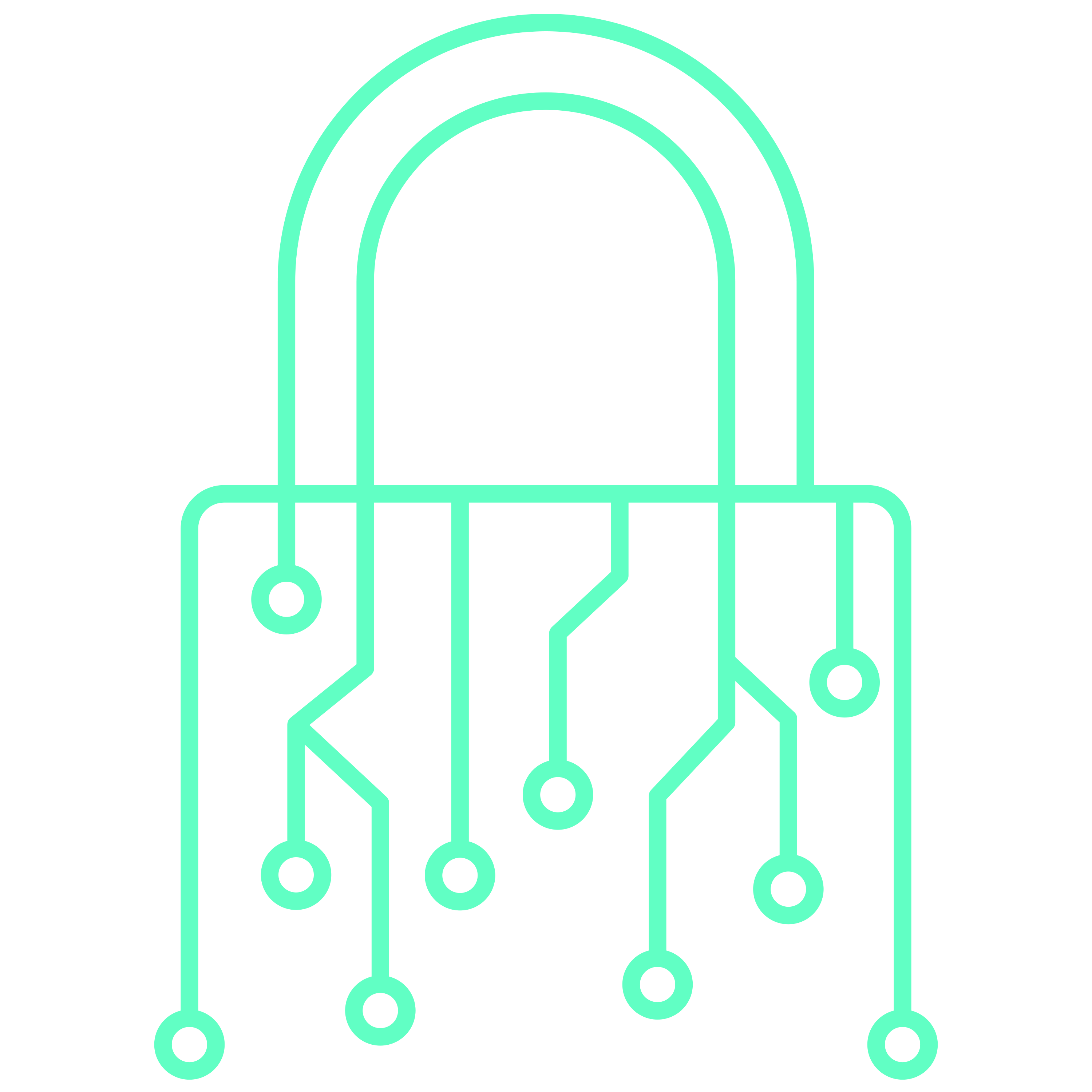 Secure Software logo