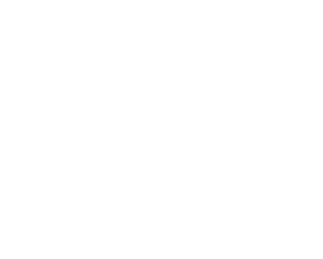 Envizia logo