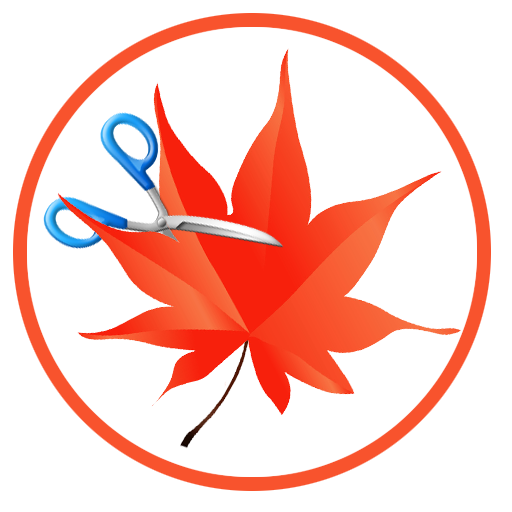 Easy Cut Studio - cutting potter software logo