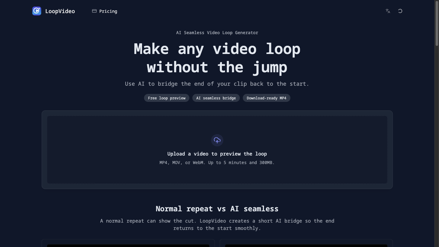 LoopVideo screenshot 1 of 1