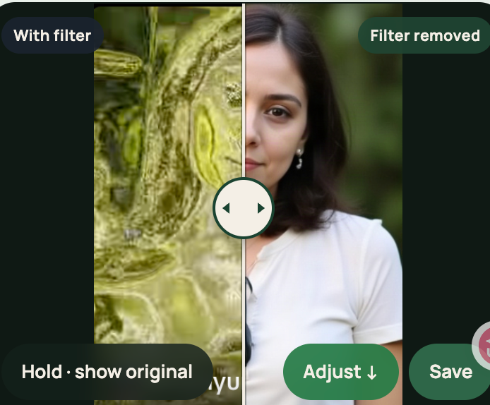 Matcha Filter screenshot 1 of 1